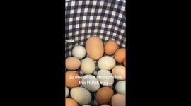 Eggceptional surprise: TikTok user cracks open giant egg, discovers another inside