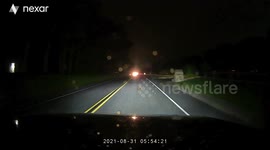 Driver's split-second dodge saves deer
