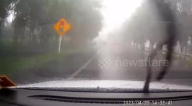 Uprooted tree falls onto car windscreen during storm