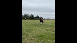 Horse and rider: unexpected fall caught on camera