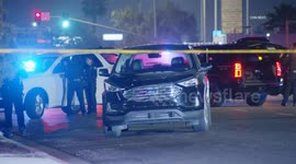 USA: Pedestrian Fatally Struck by Vehicle
