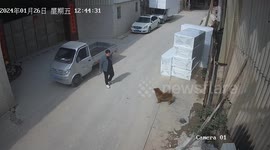 China: Surveillance footage captures unattended van rolling backwards
