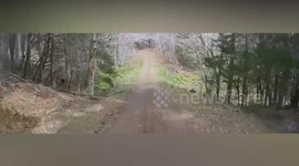 Mother bear attacks truck in forest in Japan