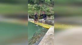 Two men and pet dog plunge into river during photoshoot gone wrong