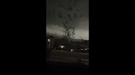 Tornado strikes Guangzhou, debris swirls through the air in alarming footage