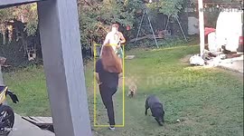 Dog's sneaky move sends boyfriend tumbling