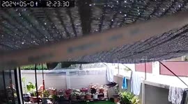 American OnlyFans 'Chad' sparks panic after smashing house with a golf club in 'jealous rage'