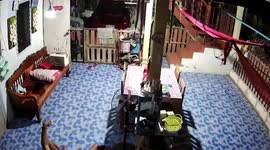 Small cobra slithers toward resident's feet
