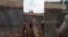 Palestine: Armed Israeli settlers attack a Bedouin community near Jericho