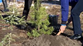 Mongolia plants 42 mln trees since 2021 to combat desertification