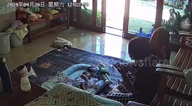 Sister protects baby brother from energetic pet monkey running through house
