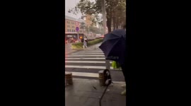 Guangdong storm: powerful winds knock down pedestrians