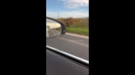 'Better not Break Down!' - Unexpected croc sighting covers driver in literal chills