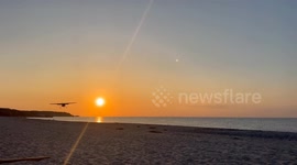 Pilot and passenger uninjured after plane crashes nose first into beach after emergency landing