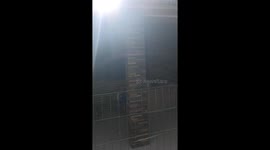 Rescued Monkey Misses Mom