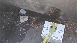 USA: Santa Ana Firefighters Rescue Kitten Trapped Below Street