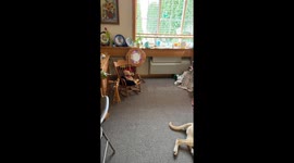 Granddaughter Discovers Grandma's Heartwarming Stock Photo Mix-Up