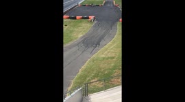 Kangaroo Ends Up On Sydney Dragway