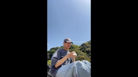 Hawk Steals Guy's Lunch