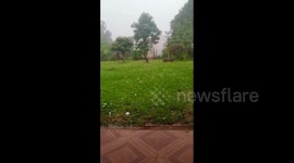 Argentina: Hail As Big As Palm Hits Yapeyú, Corrientes