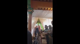 Wedding cat mishap: feline interrupts gift exchange