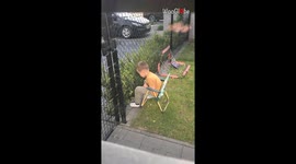 Beyond the fence: Dad backfires his little son's picky eating scheme