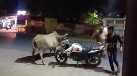 Policeman battles bull with stick after getting chased in northern India