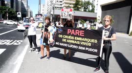 Brazil: Protest Against the Transport of Live Animals in Sao Paulo