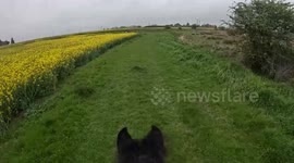 UK horse rider's dramatic fall as equine is spooked by pile of LITTER