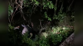 Spain: Woman Rescued After Falling Face-First From Five-Meter Riverbank