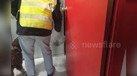 Spanish police arrest gang of thieves in possession of collection of gangs