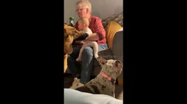 Baby grabs grandma's beer