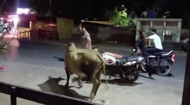 Policeman uses stick to tackle rampaging bull in India