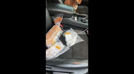 Dogs devour half a pound of turkey left unattended in the car