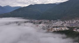 Tea industry drives rural revitalization in Metok in China's Xizang