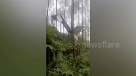 Flight instructors both survive plane crash in Malaysia