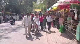 India: Independent candidate arrives to file nomination on donkey