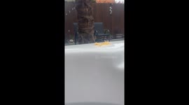 She loves cheesy quavers by the hot tub, but does like the water to much.