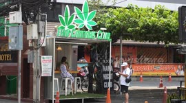 Thai government seeks ban on recreational cannabis