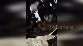 Firemen save cat from house blaze in Russia