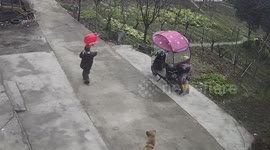 Boy and dog has same facial expression as they watch balloon fly away