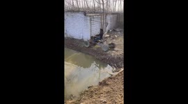 Amphibious four-wheeled motorcycle: water testing success