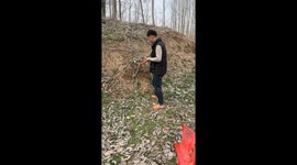 Firecracker mishap: shoe blown into river