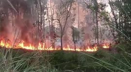 India: Miscreants spark panic by setting fire to canal bank