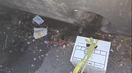 Firefighters rescue kitten trapped below street in California