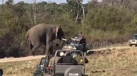 Terrifying moment enraged elephant launches vicious attack on safari Jeep in Indian park