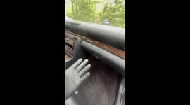 Snake found in car compartment at Fairfax