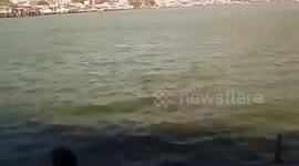 Ferry crew saves drowning woman from river