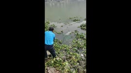 Fishermen wrestle with massive catch in Guangxi, China