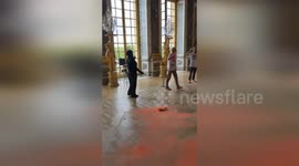 France: Protesters Disrupt Hall of Mirrors at Palace of Versailles in Food Inequality Demonstration